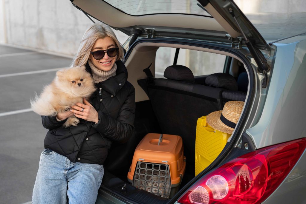 Importance Of Best Pet Relocation Services For First-Time Pet Owners
