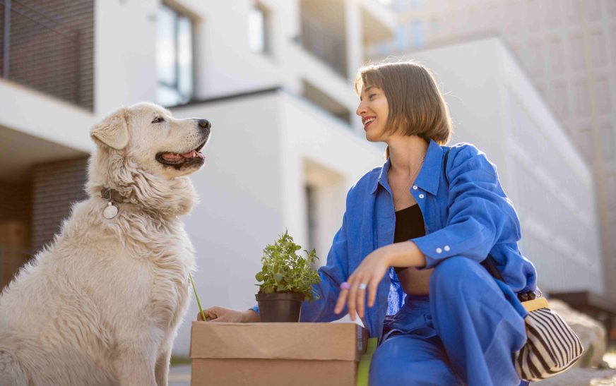 Importance Of Best Pet Relocation Services For First-Time Pet Owners