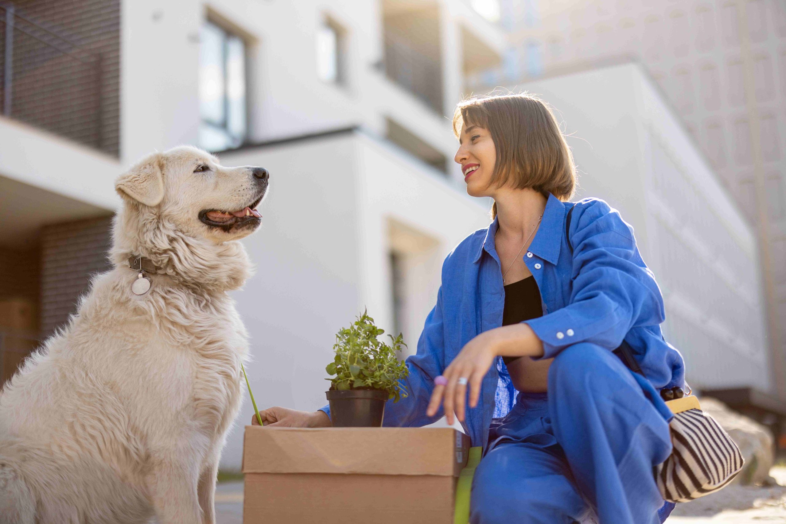 Importance Of Best Pet Relocation Services For First-Time Pet Owners